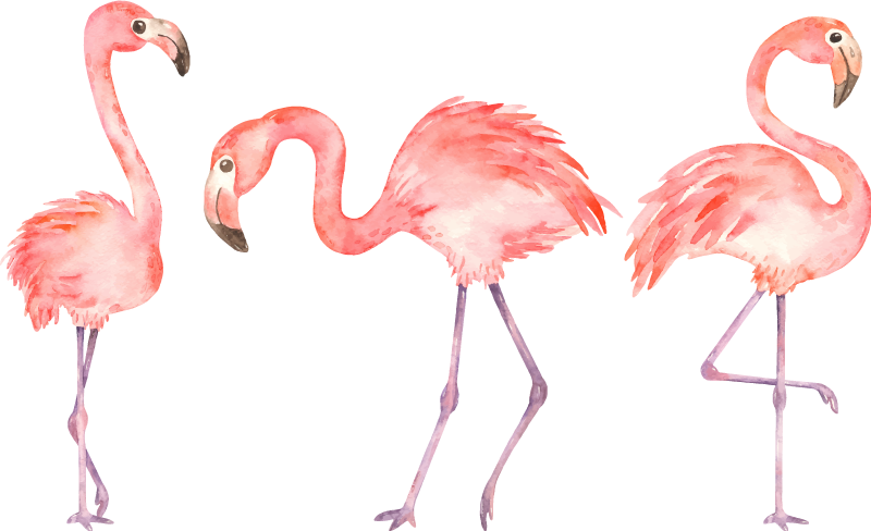 Vinylmatta djur elegant flamingo trio - Tenstickers