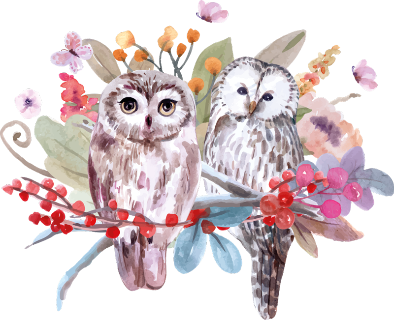 Vinylmatta djur ugglor i naturen - Tenstickers