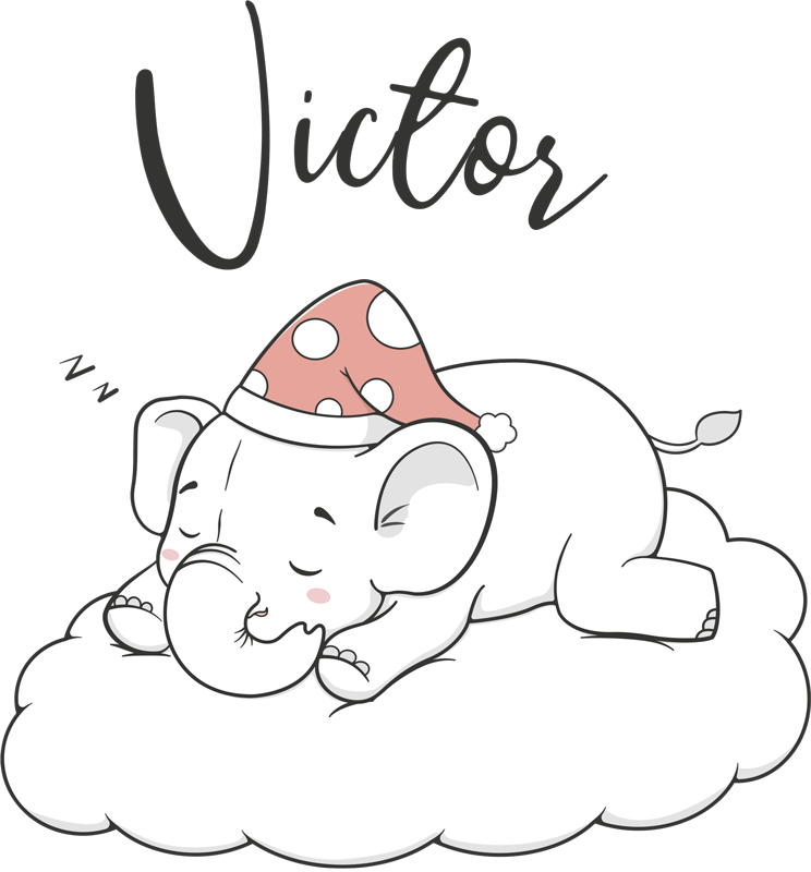 Vinylmatta djur elefant på molnen med namn - Tenstickers