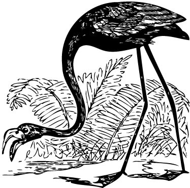 Vinylmatta djur flamingo med ormbunkar - Tenstickers