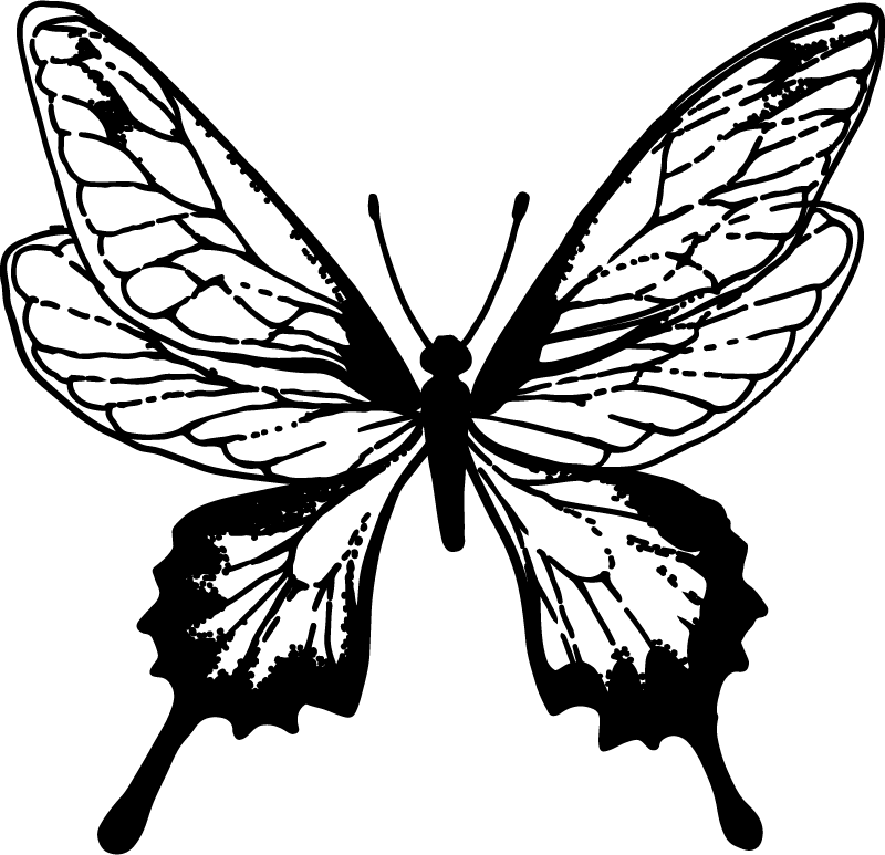 Vinylmatta djur graceful butterfly outline - Tenstickers