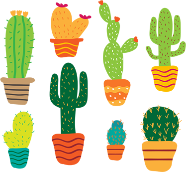 Vinylmatta blommor och växter färgglad kaktuspack - Tenstickers