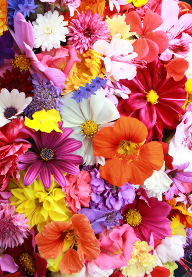 Vinylmatta blommor och växter i massor av färger - Tenstickers