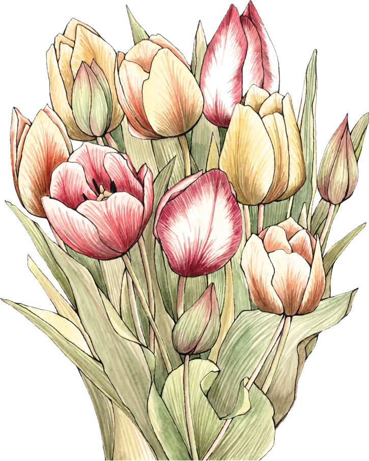 Vinylmatta blommor och växter färgglad tulpanbukett - Tenstickers