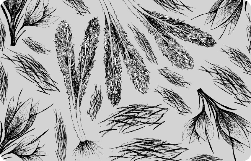 Vinylmatta blommor och växter torkad grå mönster - Tenstickers