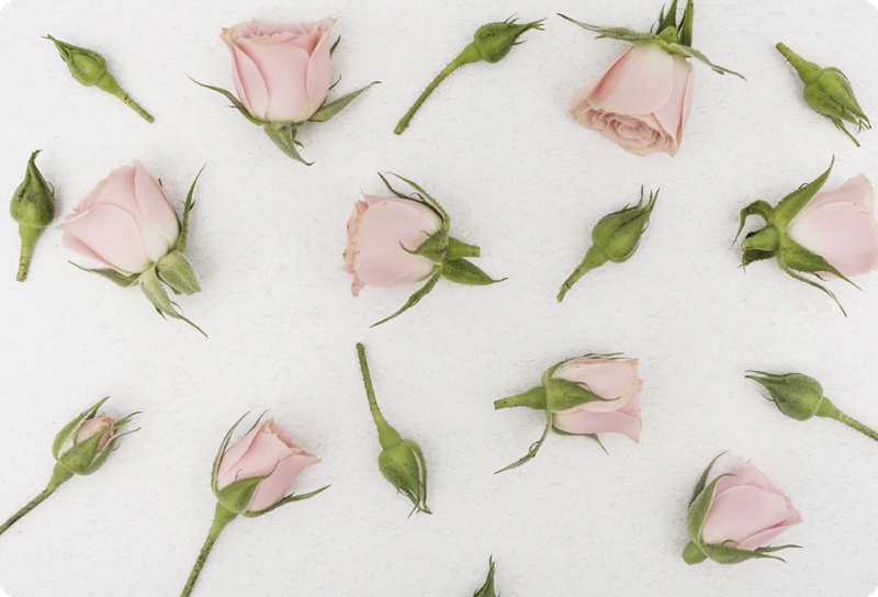 Vinylmatta blommor och växter romantisk vårblomma - Tenstickers
