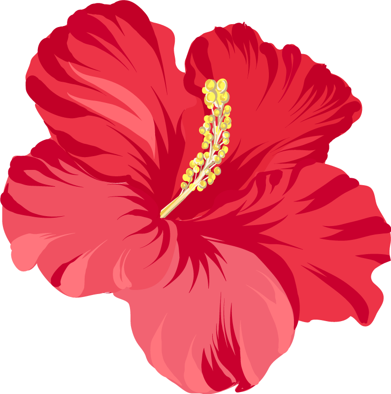 Vinylmatta blommor och växter röd hibiskus kit - Tenstickers