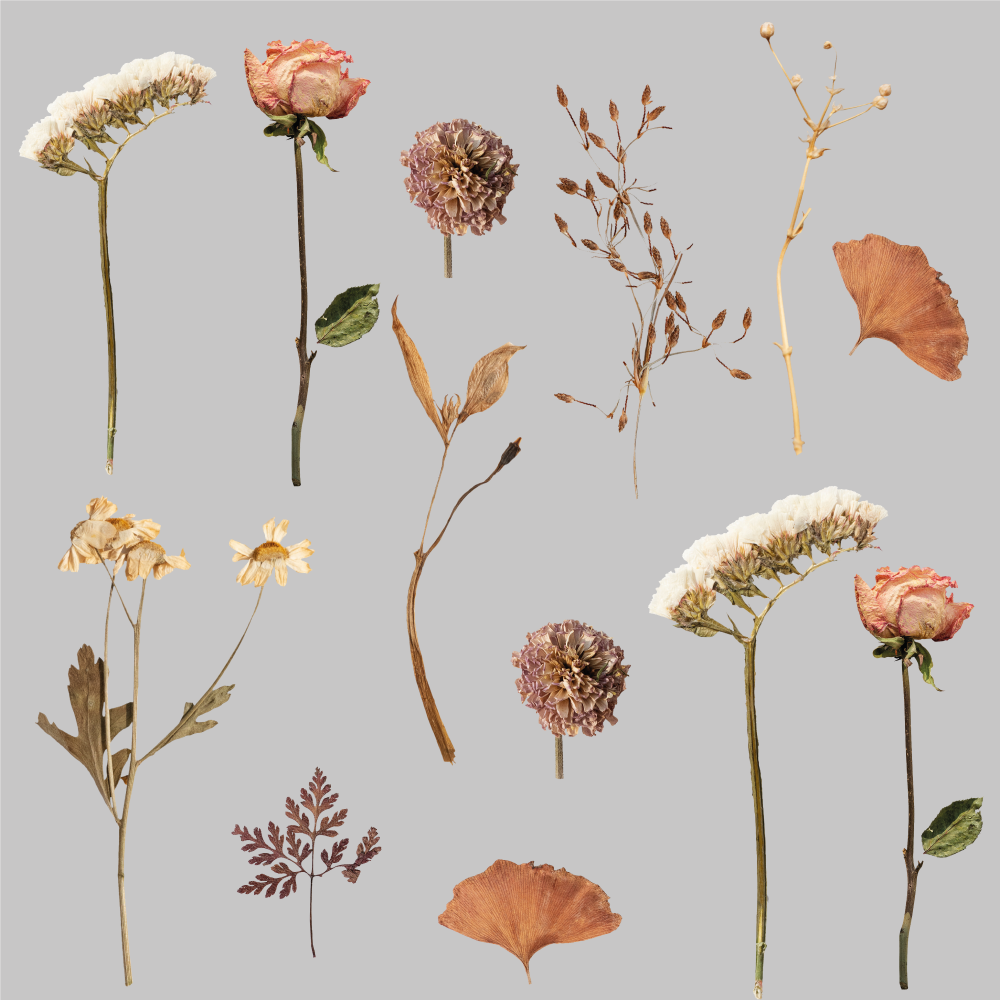 Vinylmatta blommor och växter torkade blommor mönster - Tenstickers