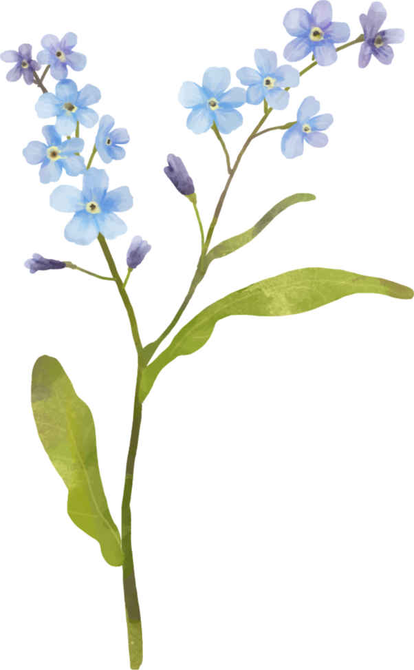 Vinylmatta blommor och växter i graciös blå växt - Tenstickers