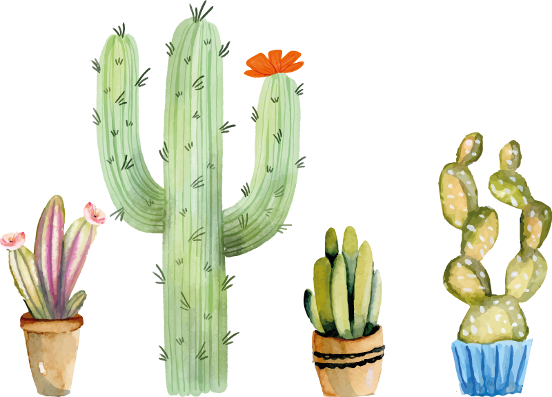 Vinylmatta matsal set med olika kaktusar - Tenstickers