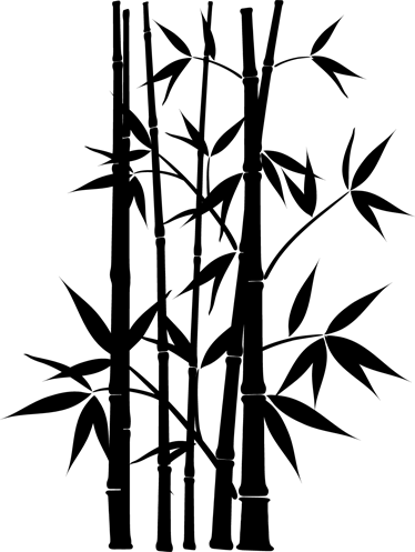 Vinylmatta badrum klistermärke bambu planta - Tenstickers
