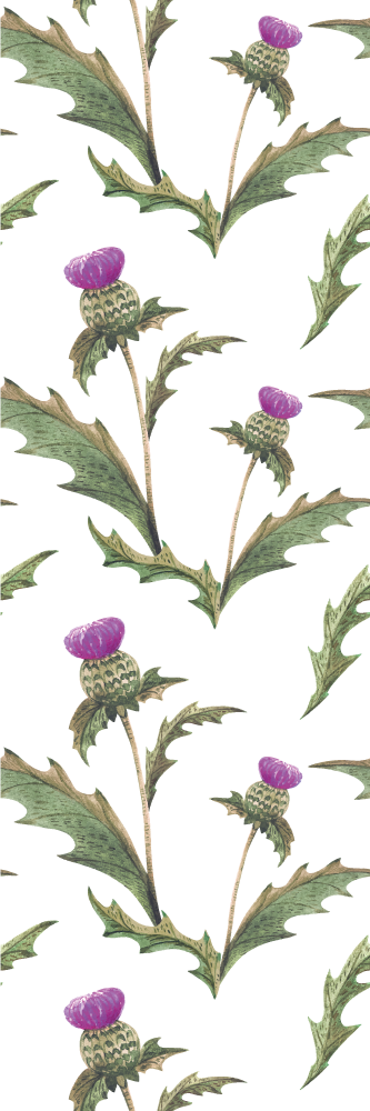 Vinylmatta sovrum skotska tistelblommor - Tenstickers