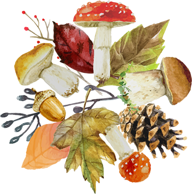 Vinylmatta natur med skogslöv och frukter - Tenstickers
