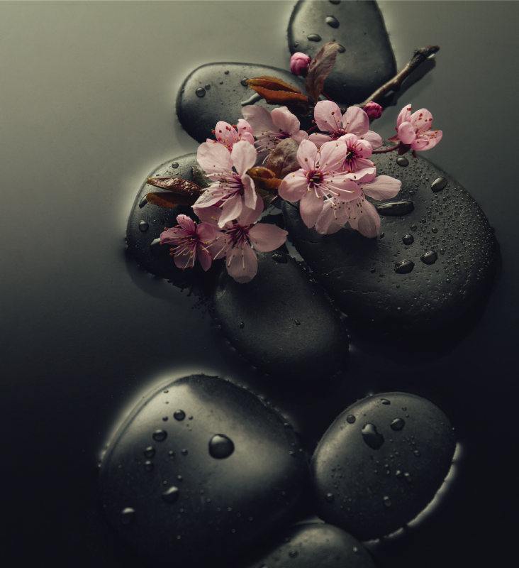 Vinylmatta natur zen atmosfär med sten för toalett - Tenstickers