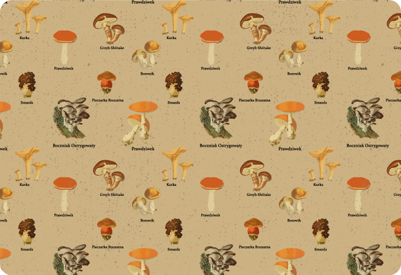 Vinylmatta natur vintage svamptyper - Tenstickers
