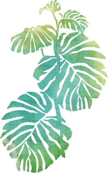 Vinylmatta blommor och växter swiss cheese planta - Tenstickers