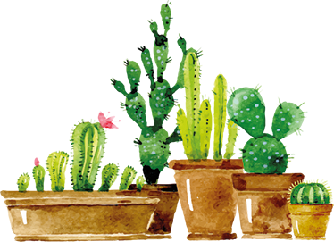 Vinylmatta blommor och växter hemmagjord kaktusträdgård - Tenstickers