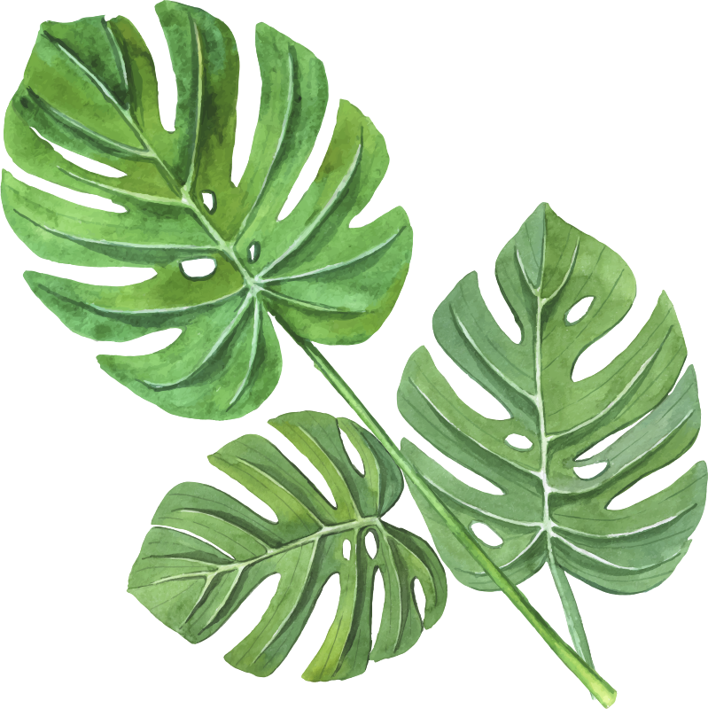 Vinylmatta blommor och växter monstera akvarellblad - Tenstickers