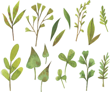 Vinylmatta blommor och växter aquarella små blad - Tenstickers