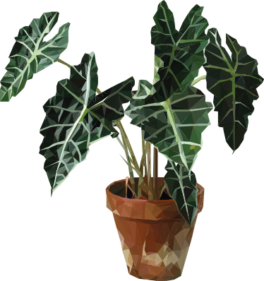 Vinylmatta blommor och växter geometrisk kruka - Tenstickers