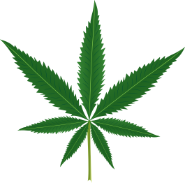 Vinylmatta blommor och växter marihuanablad - Tenstickers