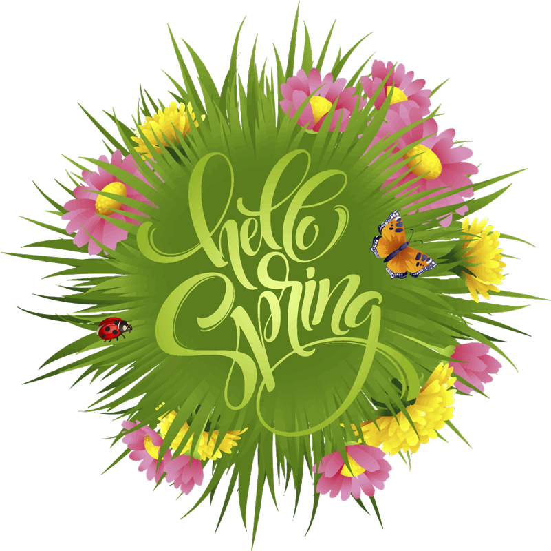 Vårfältsblommor vinylmatta blommor och växter - Tenstickers