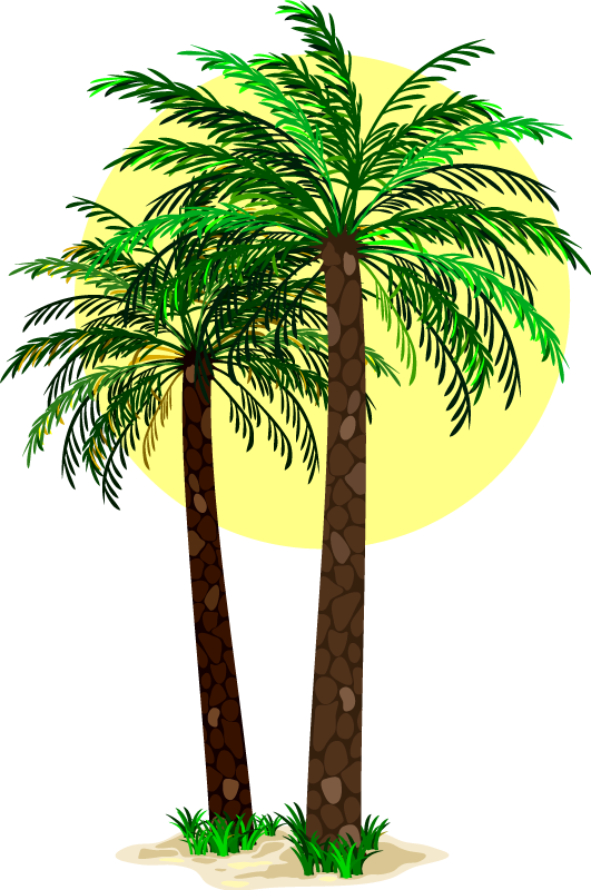 Vinylmatta blommor och växter palmträd - Tenstickers