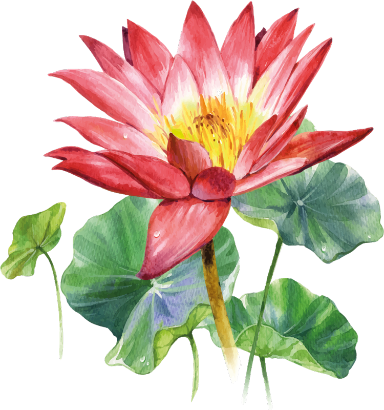Vinylmatta sovrum lotus akvarell illusion - Tenstickers