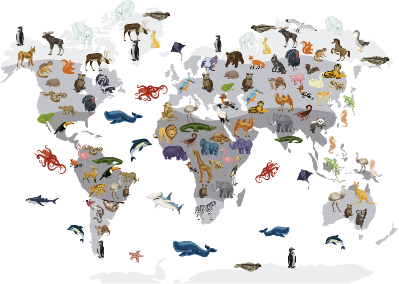 Vinylmatta världskarta i nordisk stil - Tenstickers