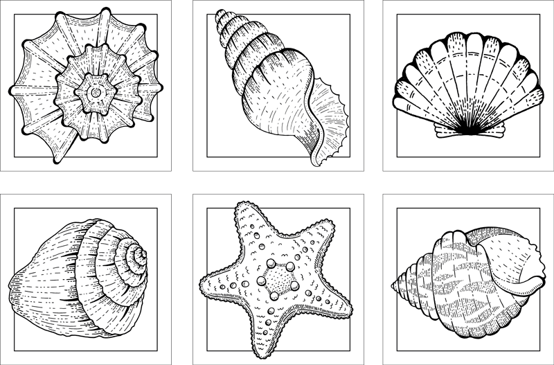 Vinylmatta badrum marinliv och snäckor - Tenstickers