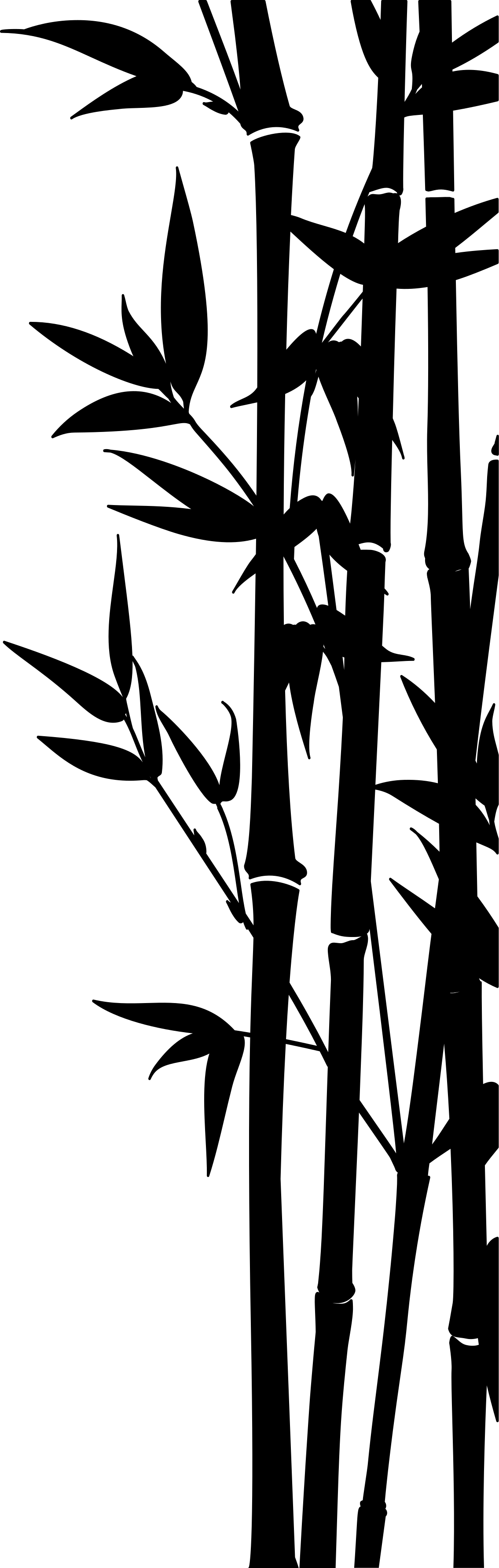 Vinylmatta badrum bambuskärmdekal - Tenstickers