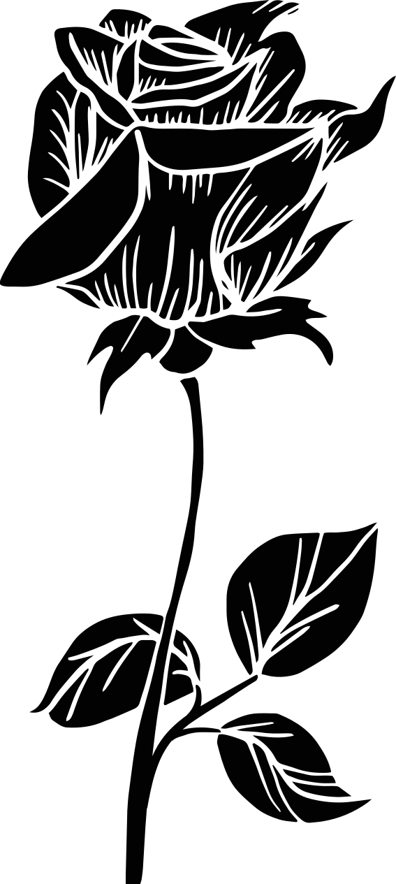 Vinylmatta badrum ros till duschvägg - Tenstickers