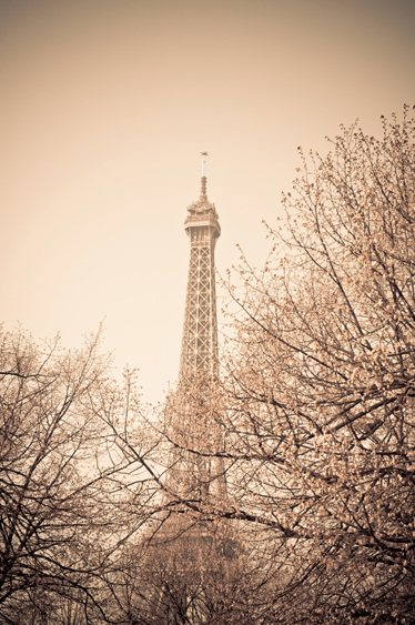 Vinylmatta sovrum foto av eiffeltornet med träd - Tenstickers