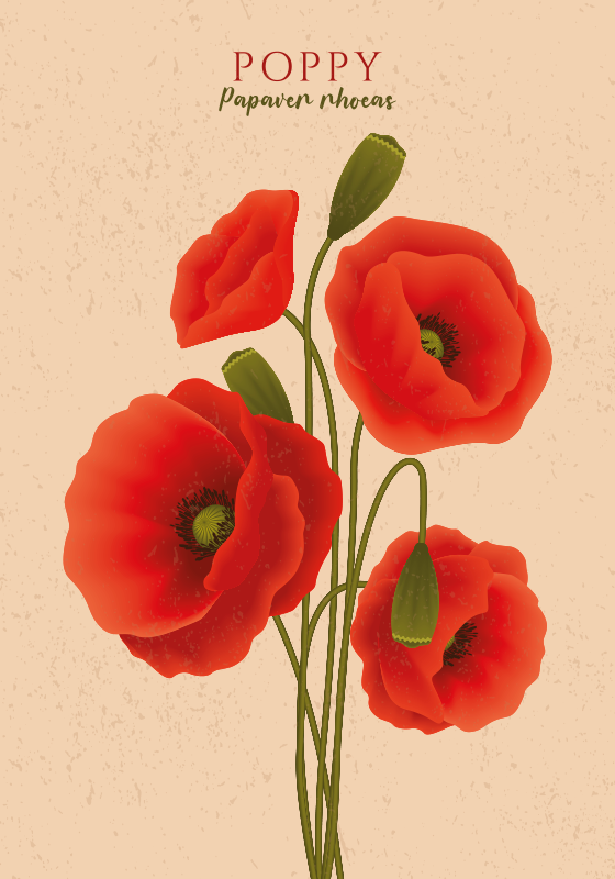 Vinylmatta blommor och växter med vallmo - Tenstickers