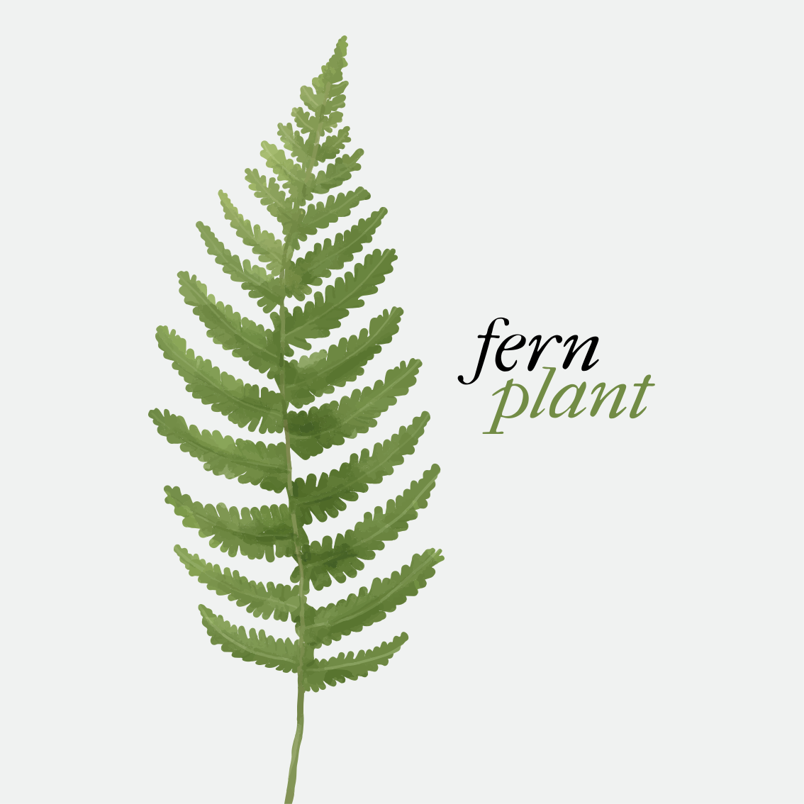 Vinylmattor med fraser fernplanta minimalistisk stil - Tenstickers