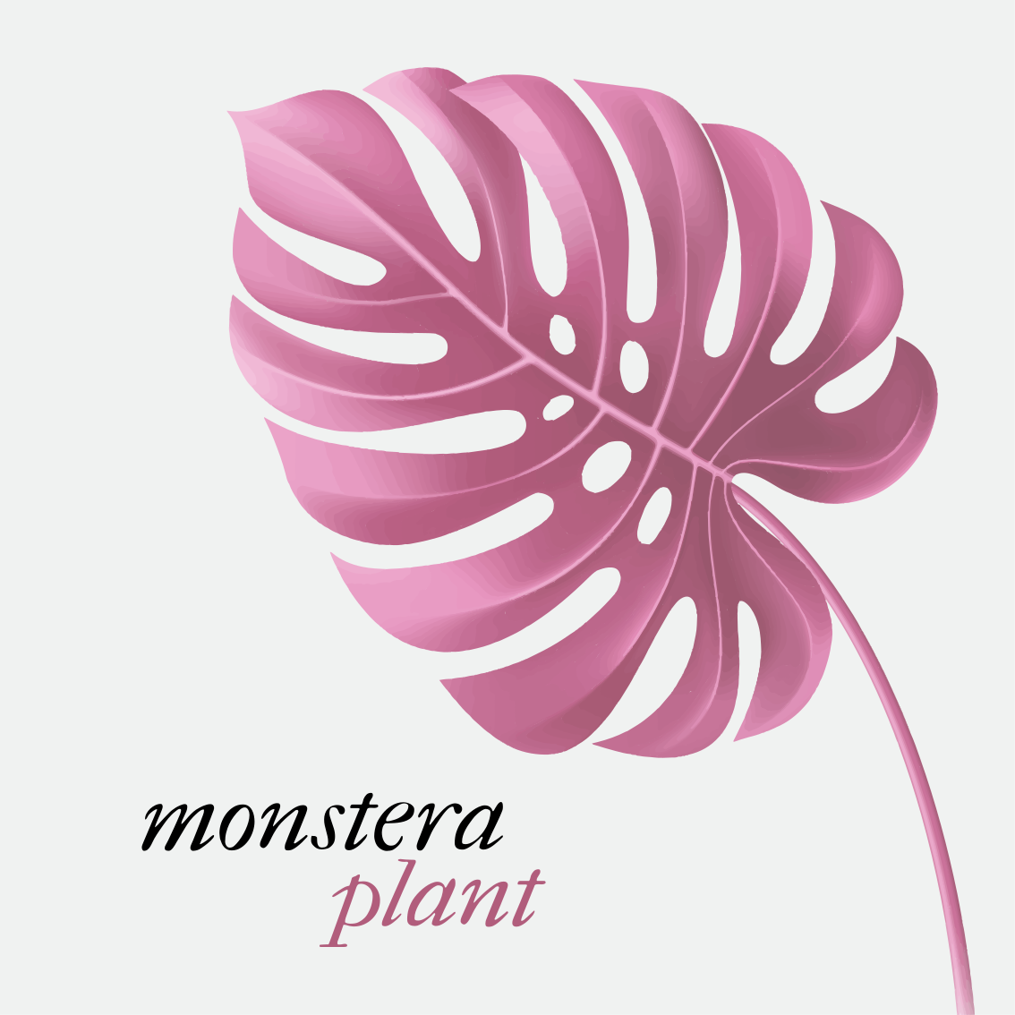 Vinylmattor med fraser pink minimalist monstera 5 - Tenstickers