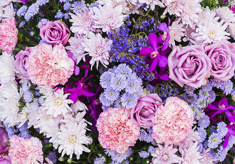 Vinylmatta lila blommor fototapet - Tenstickers