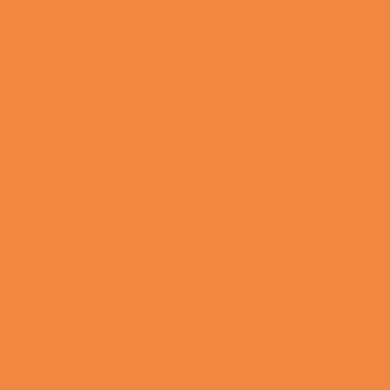 Vinylmatta orange enfärgad - Tenstickers
