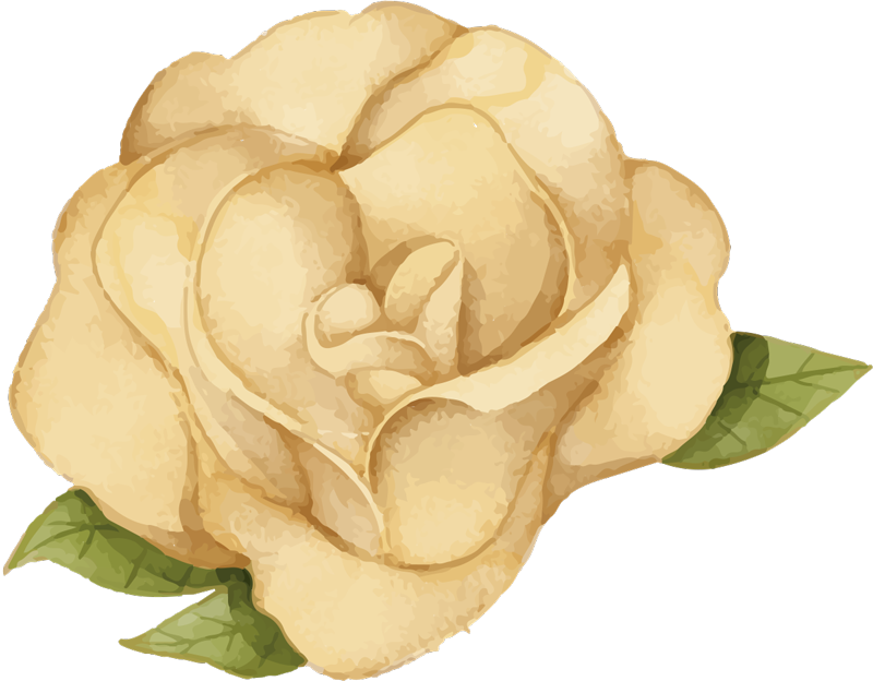 Underbart gyllene rosvinyl sovrumsmatta - Tenstickers