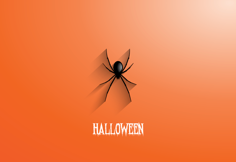 Spindel halloween vinyl hall matta - Tenstickers