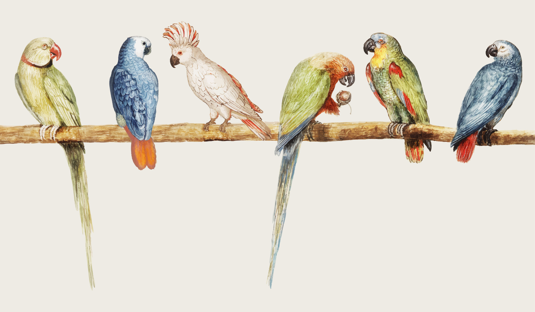 Modern grå med fåglar och grenar blommig matta - Tenstickers