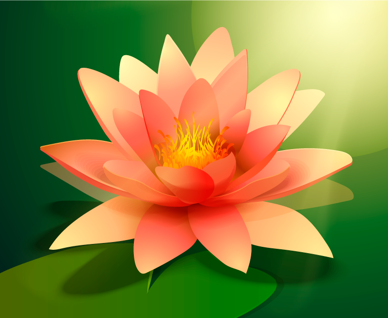 Blommande lotusblomma Vinylmatta blommor och växter - Tenstickers