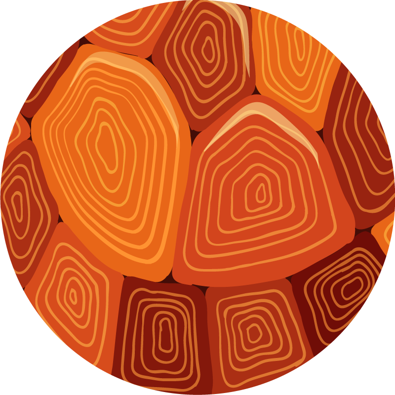 Sköldpadda hus tryck djur tryck vinyl matta - Tenstickers