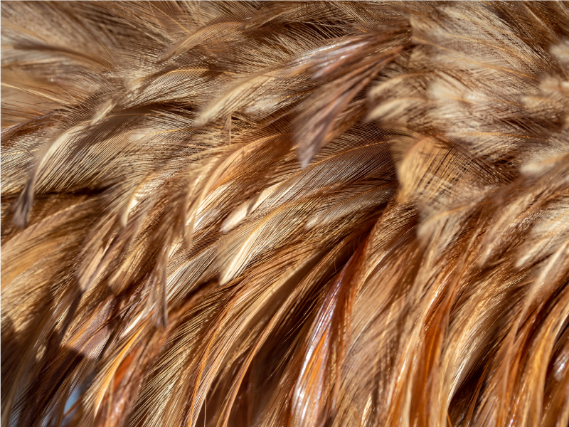 Virvlande päls Vinylmatta djurtryck - Tenstickers