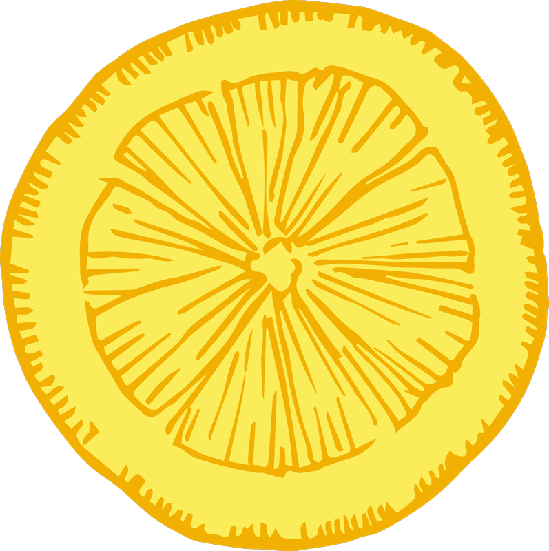 Gul citrusskiva Vinylmatta Kök - Tenstickers