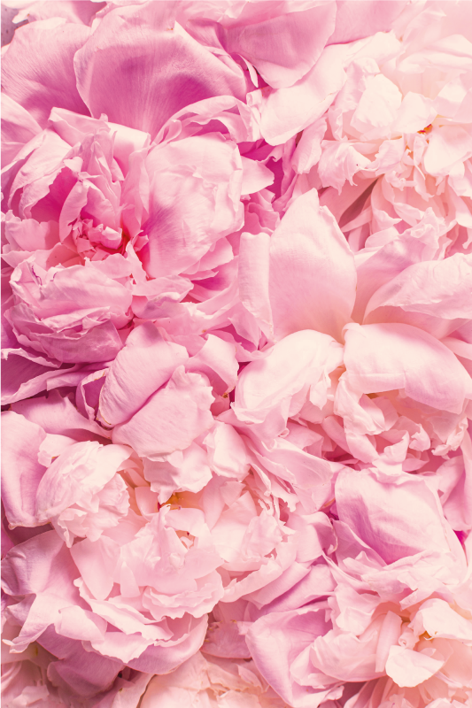 Mjuka rosa detaljer Vinylmatta Vardagsrum - Tenstickers