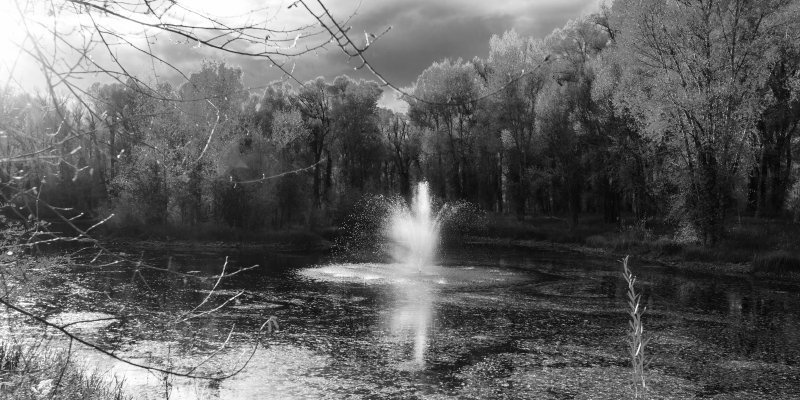 Grå skog natur vinyl matta - Tenstickers