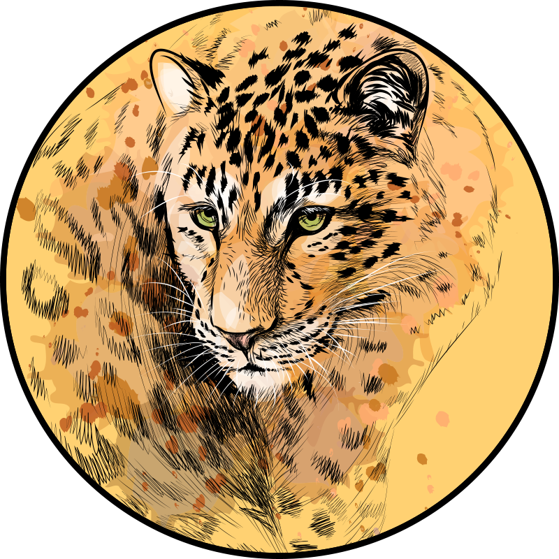 Leopardformad djurmynt av vinyl - Tenstickers