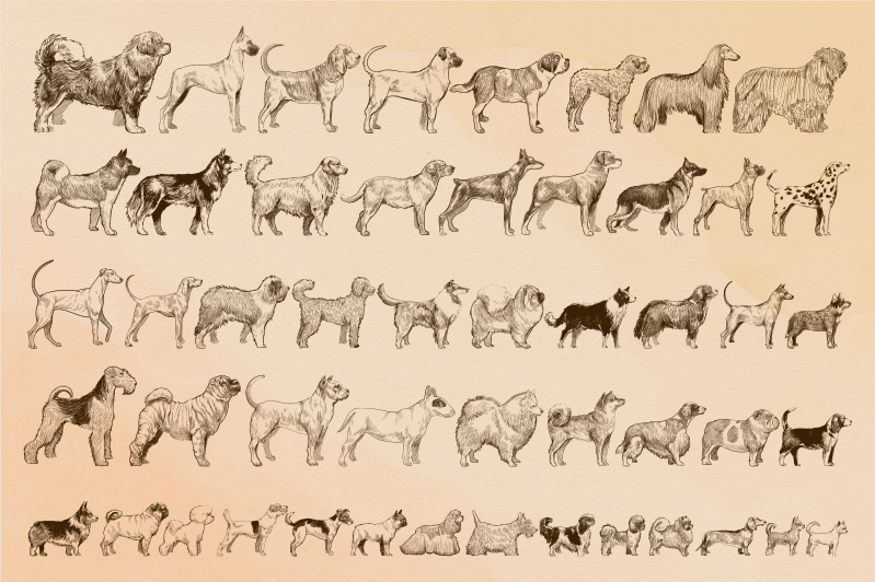 Beige hundillustrationer Vinylmatta djur - Tenstickers