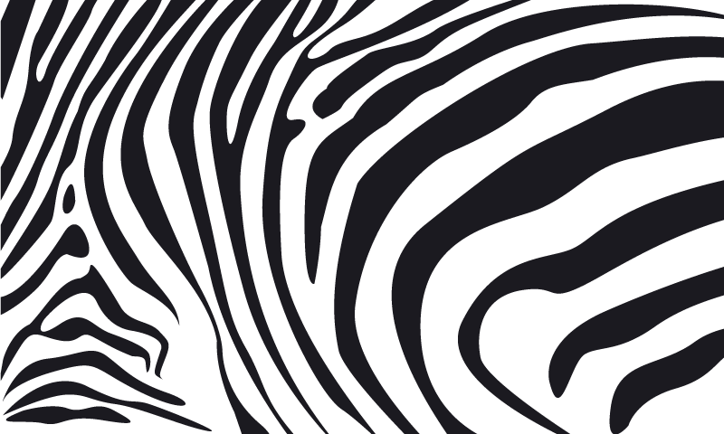 Vinylmatta djurtryck zebra linjer - Tenstickers